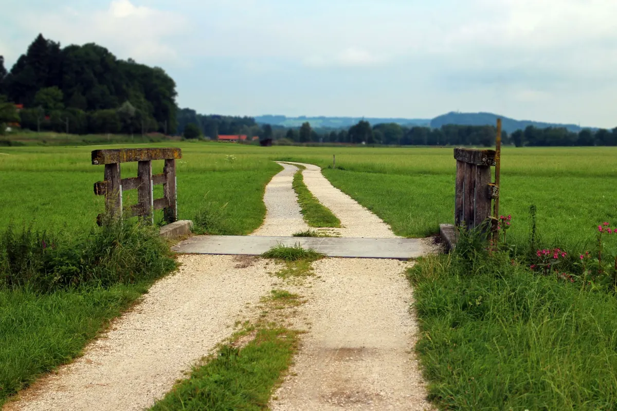 How to Write a Poem About Your Local Landscape